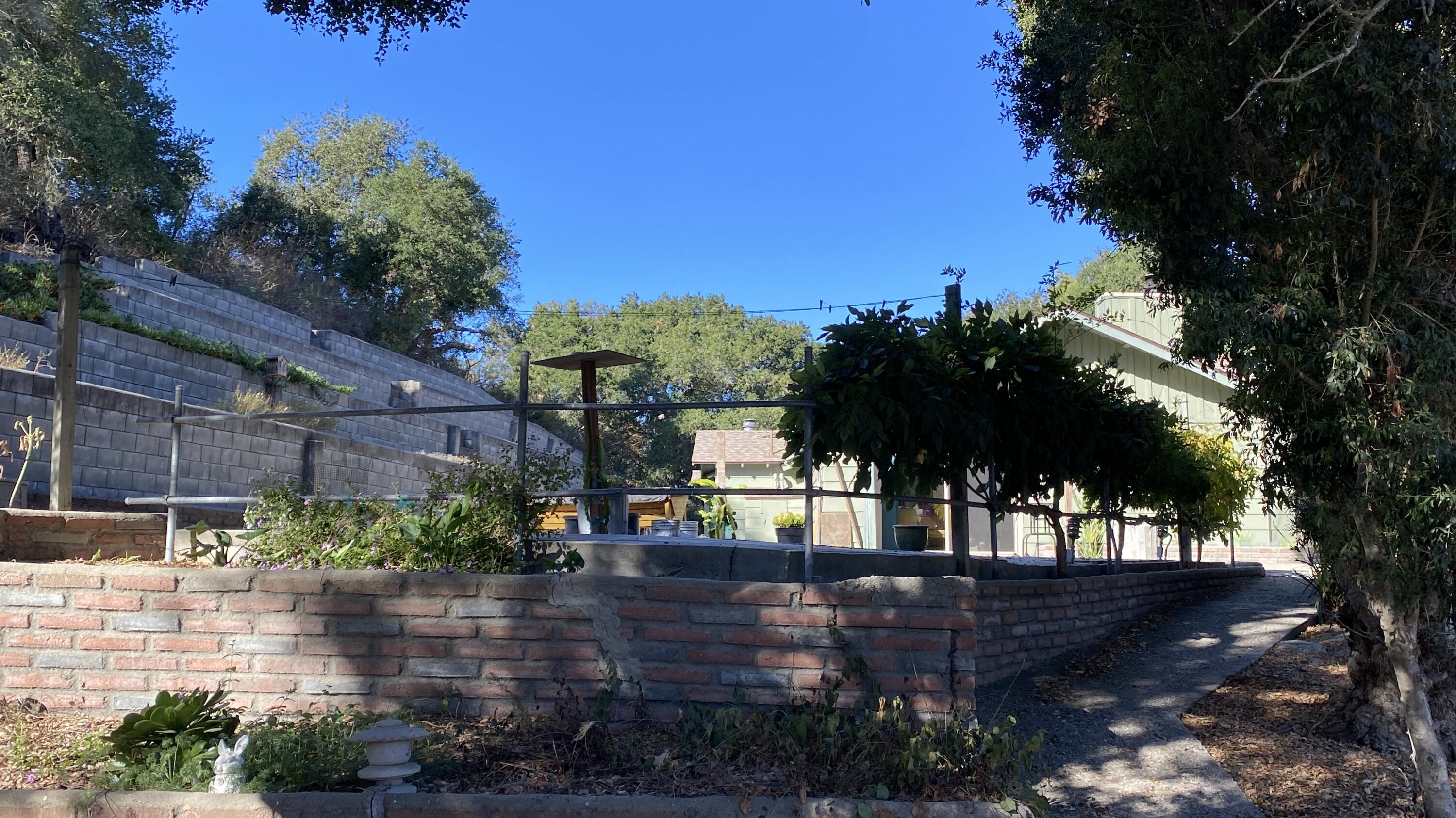 5355 Campbell Road Lompoc, CA 93436 - Photo 9 of 35 a view of a yard with plants and trees