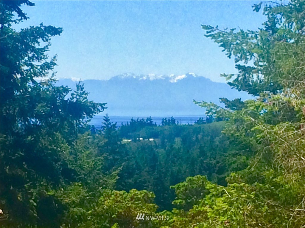 2 Prospect Road San Juan Island, WA 98250 - Photo 1 of 11 Gallery Image 1