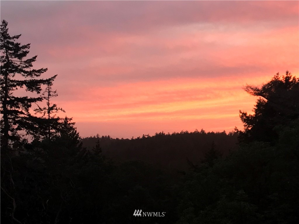 2 Prospect Road San Juan Island, WA 98250 - Photo 2 of 11 Gallery Image 2