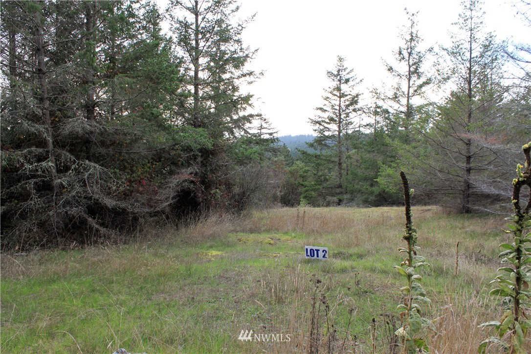 2 Prospect Road San Juan Island, WA 98250 - Photo 11 of 11 Gallery Image 11
