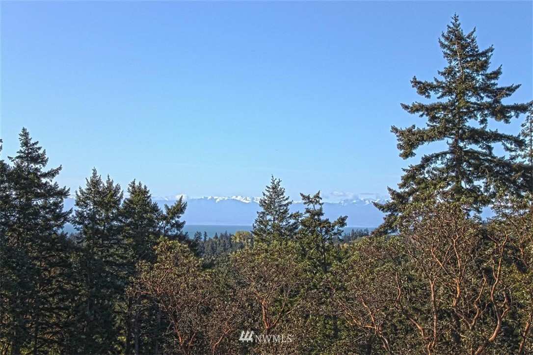 2 Prospect Road San Juan Island, WA 98250 - Photo 3 of 11 Gallery Image 3