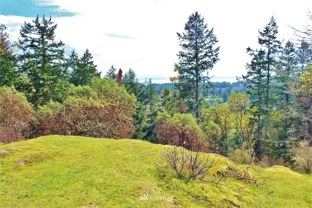 2 Prospect Road San Juan Island, WA 98250 - Photo 5 of 11 Gallery Image 5