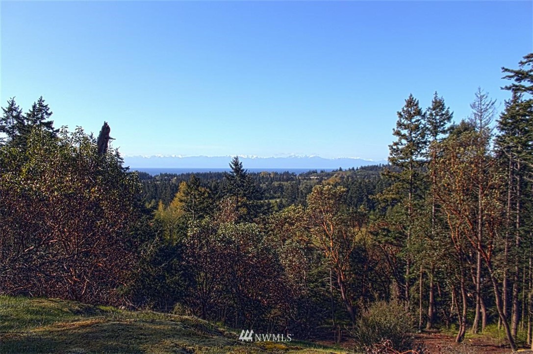 2 Prospect Road San Juan Island, WA 98250 - Photo 6 of 11 Gallery Image 6