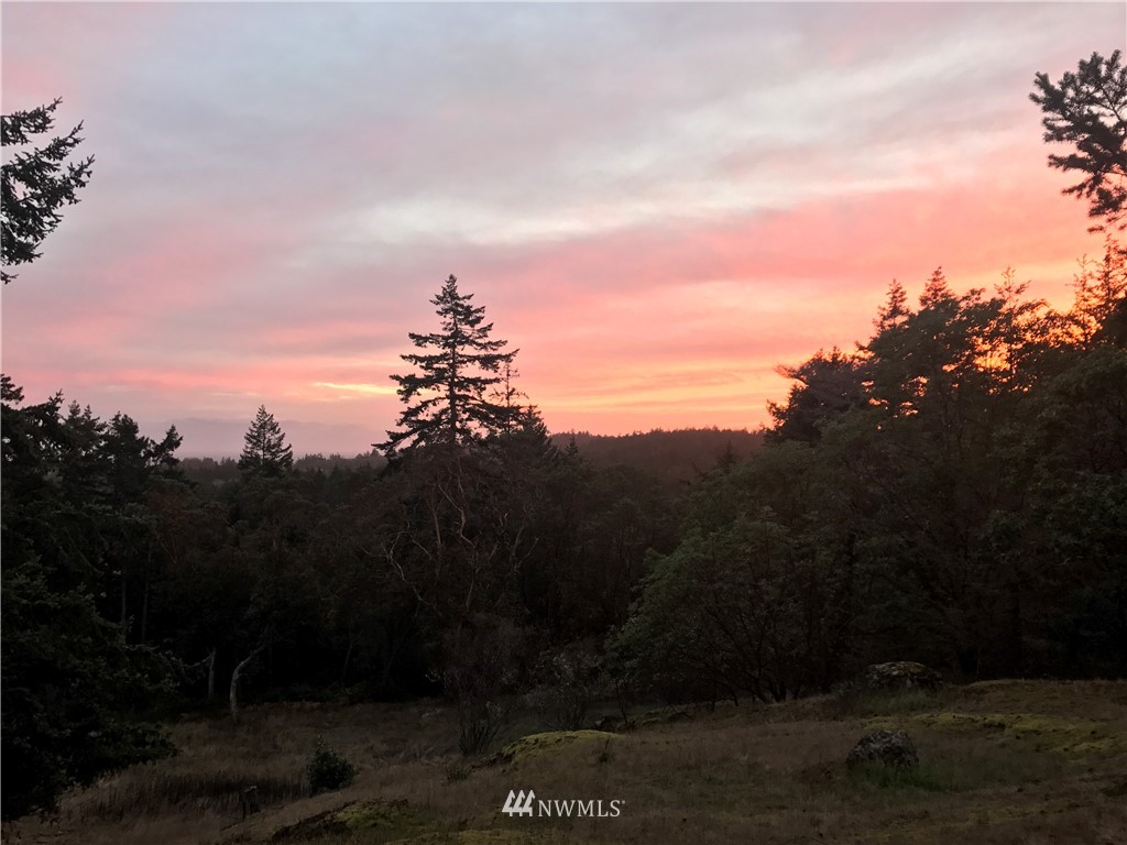 2 Prospect Road San Juan Island, WA 98250 - Photo 7 of 11 Gallery Image 7