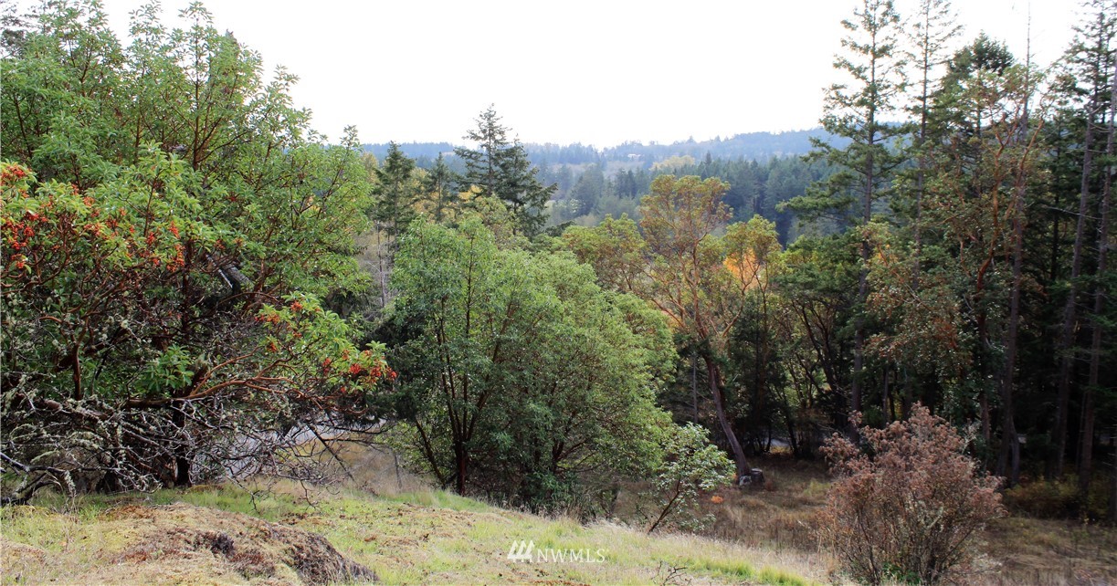2 Prospect Road San Juan Island, WA 98250 - Photo 10 of 11 Gallery Image 10