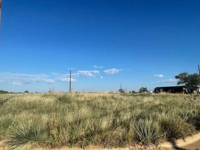 a view of a big yard