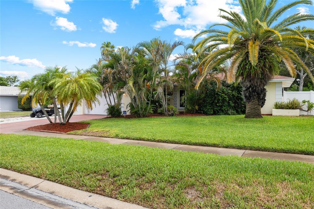 1070 McCarty Street Dunedin, FL 34698 - Photo 3 of 59