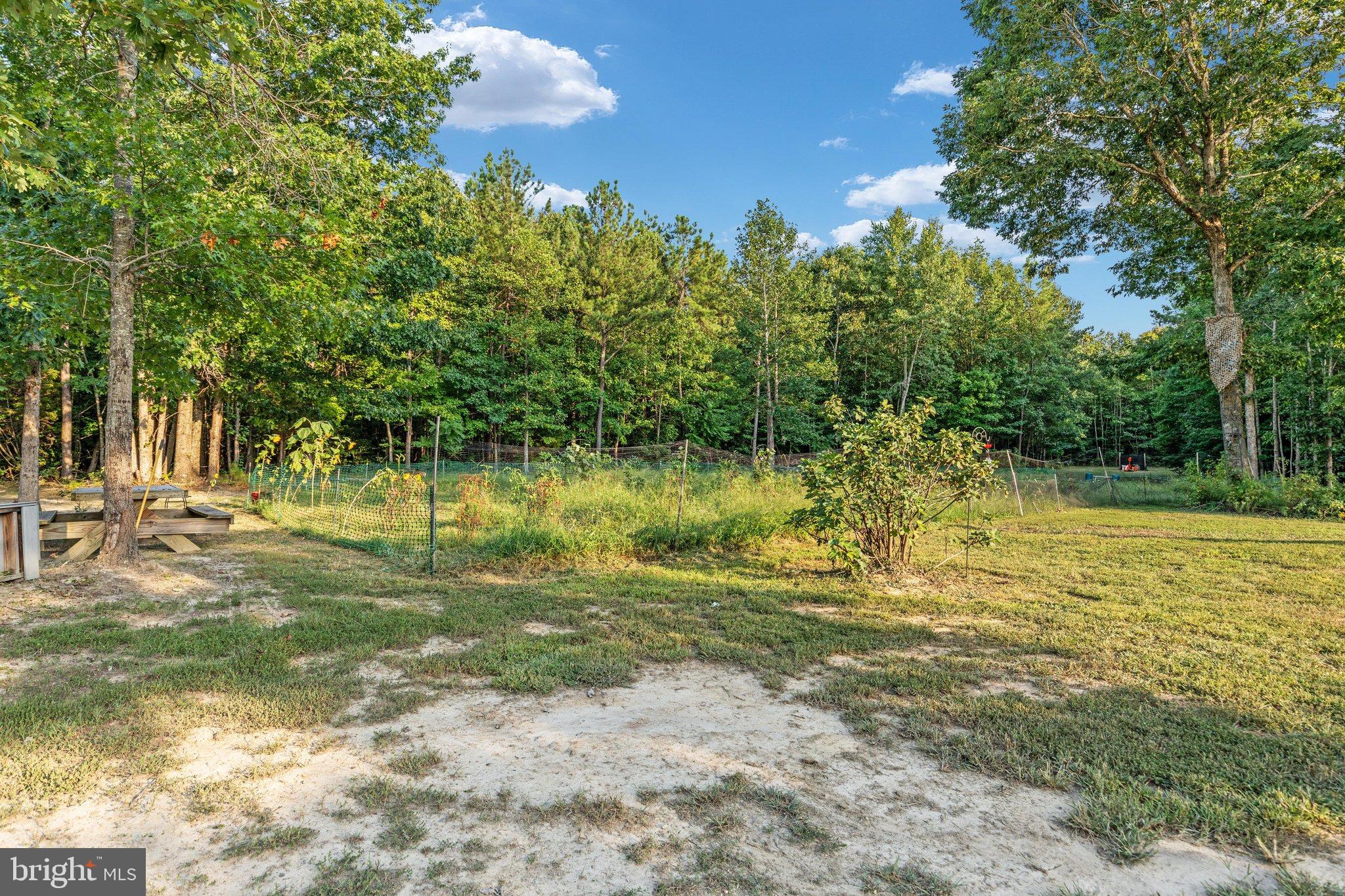 0 Flat Iron Road Montross, VA 22520 - Photo 65 of 116 Serene woodland retreat with lush greenery.