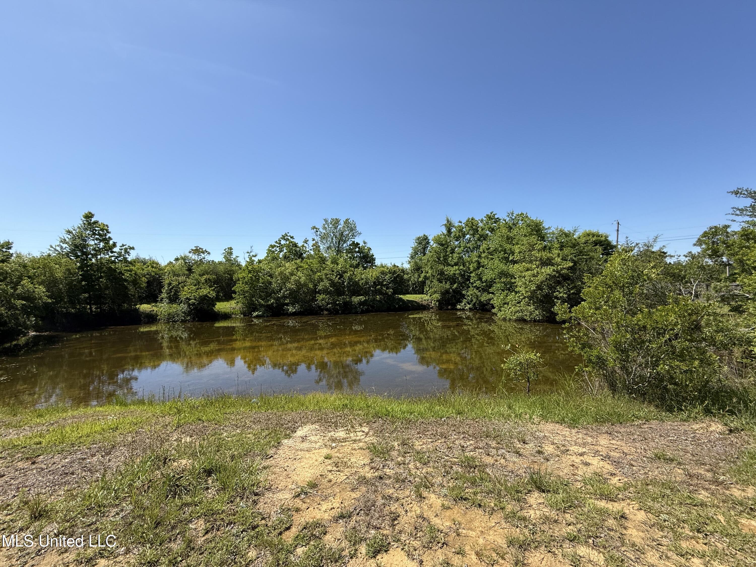 72 Old Creek Road Picayune, MS 39466 - Photo 15 of 15 IMG_9975