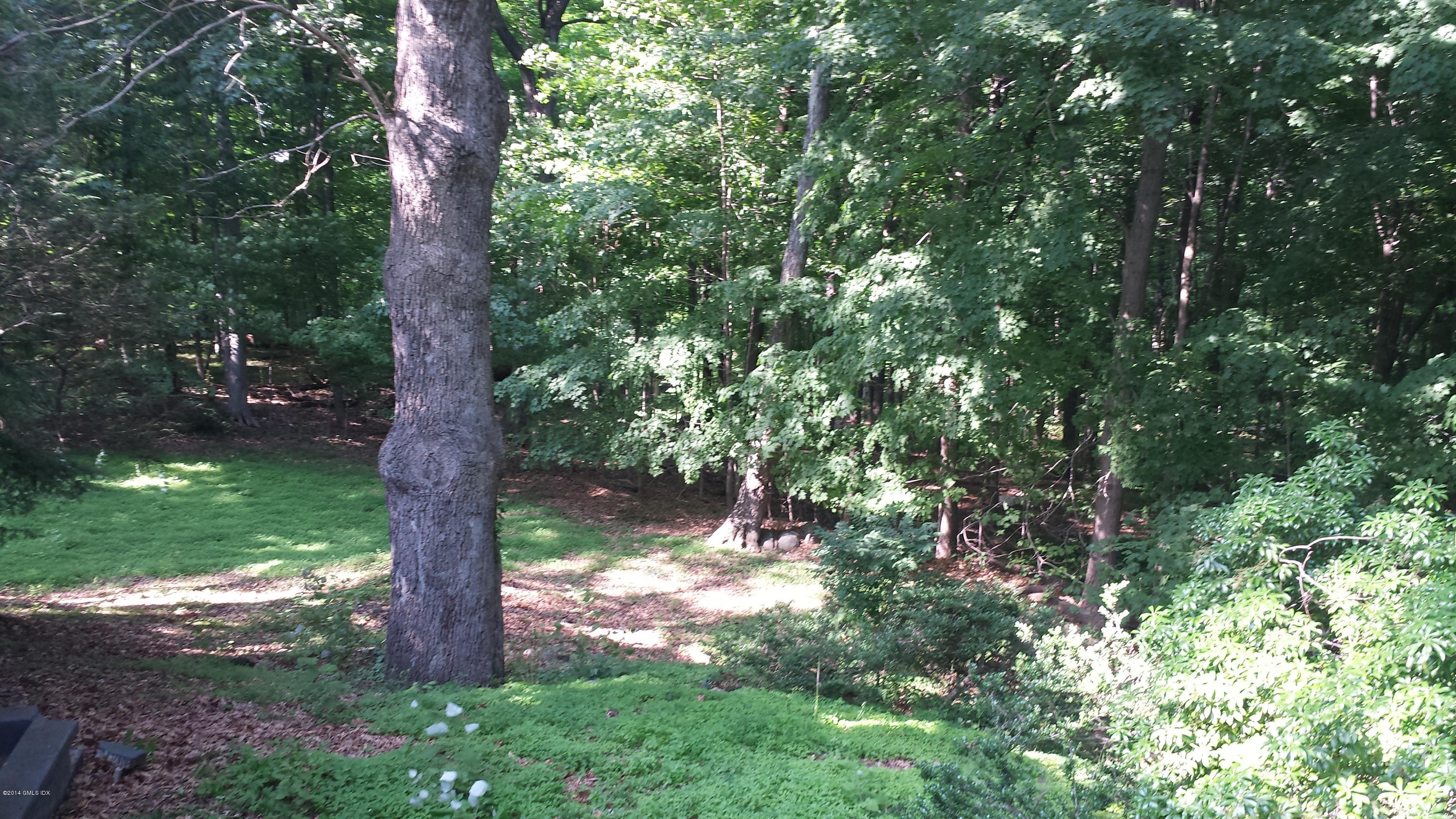 84 Perkins Road Greenwich, CT 06830 - Photo 7 of 11 a view of a tree in a yard with a tree