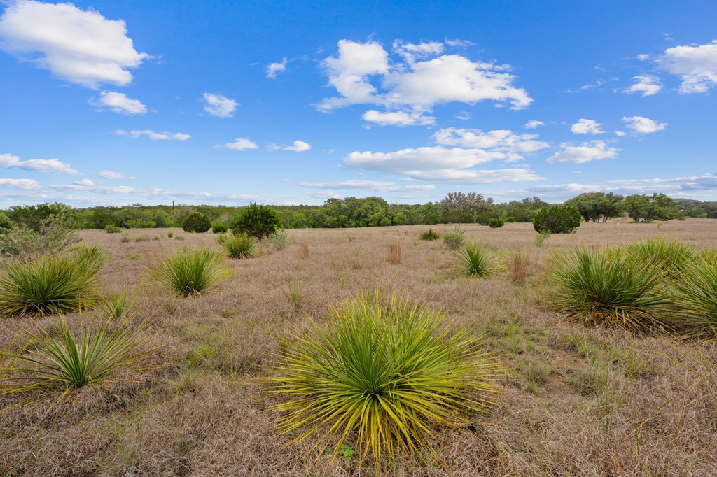 Lot 10 Winans Creek Road Bandera, TX 78003 - Photo 12 of 18