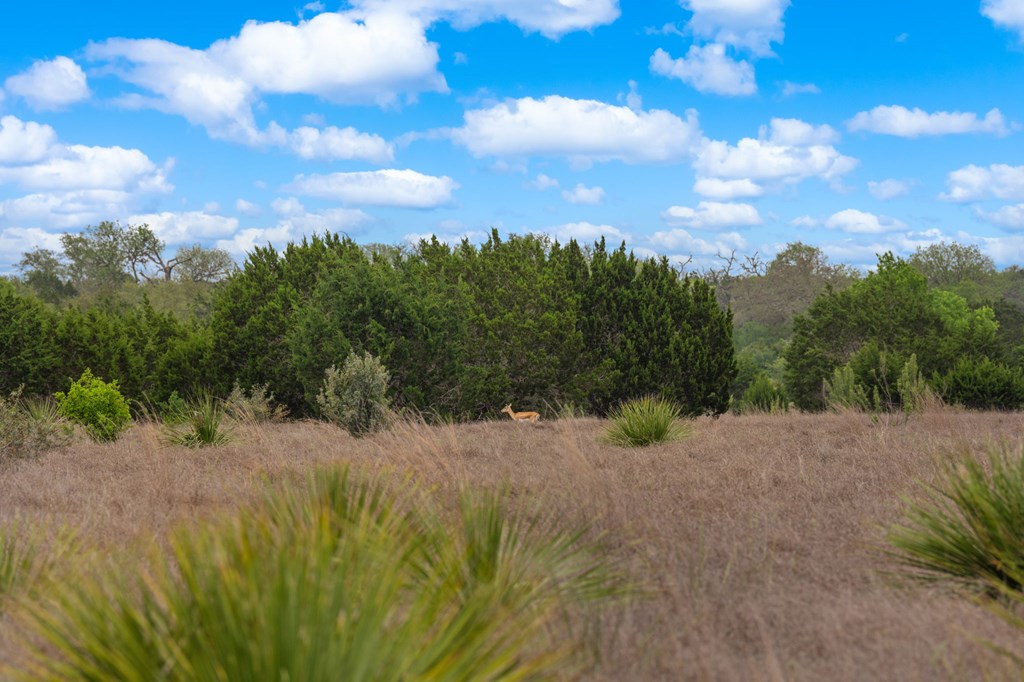 Lot 10 Winans Creek Road Bandera, TX 78003 - Photo 13 of 18