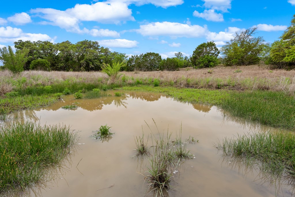 Lot 10 Winans Creek Road Bandera, TX 78003 - Photo 14 of 18