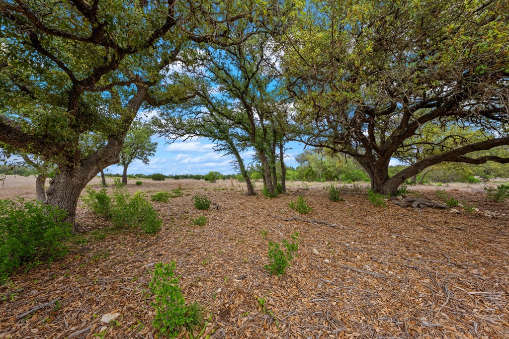 Lot 10 Winans Creek Road Bandera, TX 78003 - Photo 5 of 18