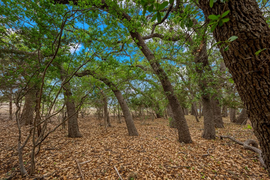 Lot 10 Winans Creek Road Bandera, TX 78003 - Photo 8 of 18