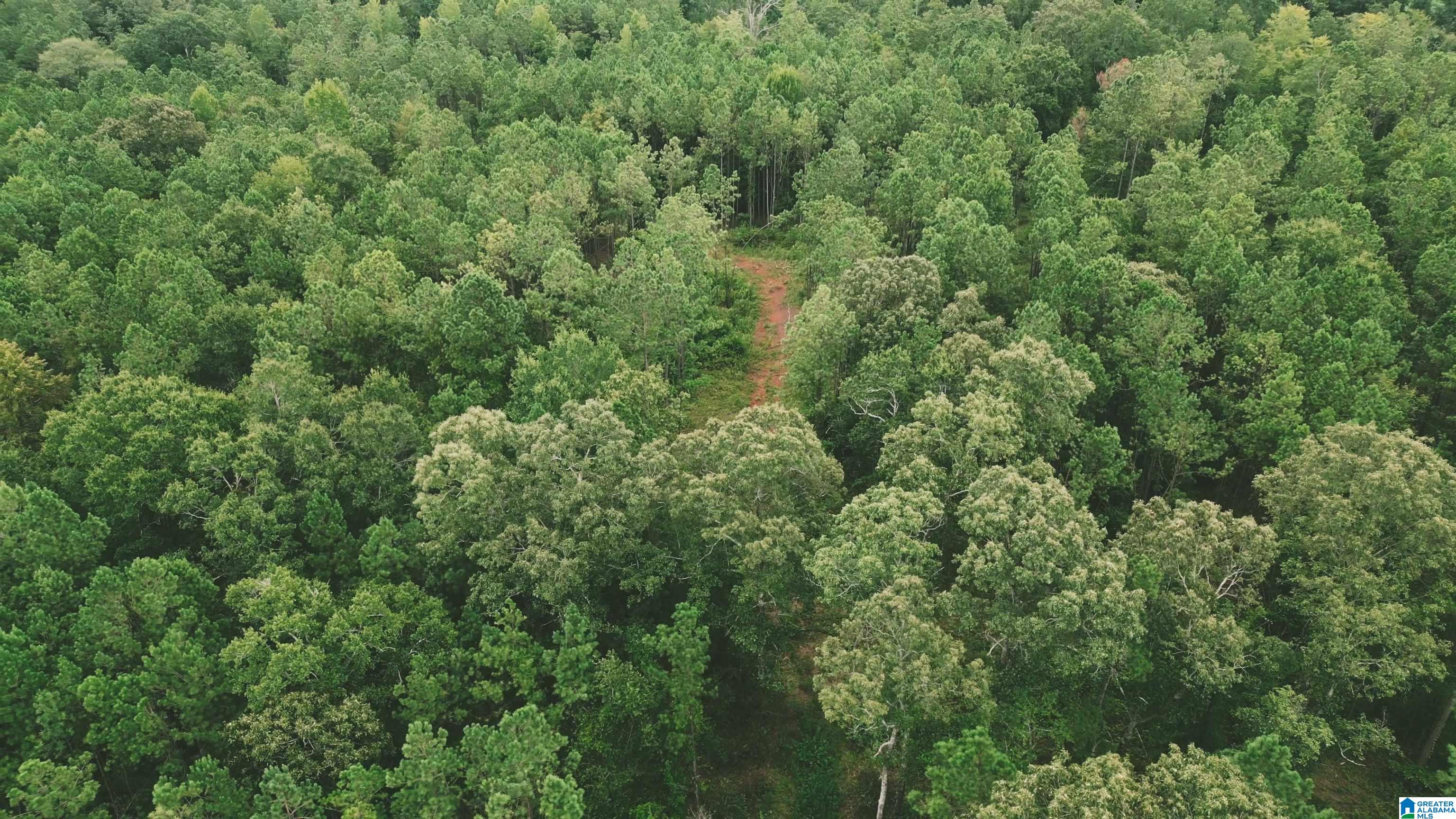 Hwy 77 State Road, Unit 1 Talladega, AL 35160 - Photo 3 of 8