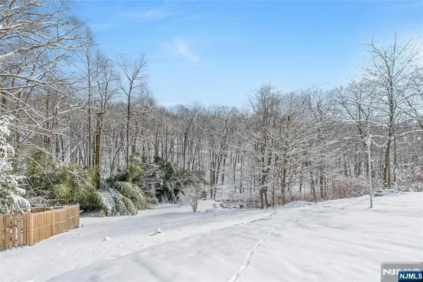 a view of a yard with a tree