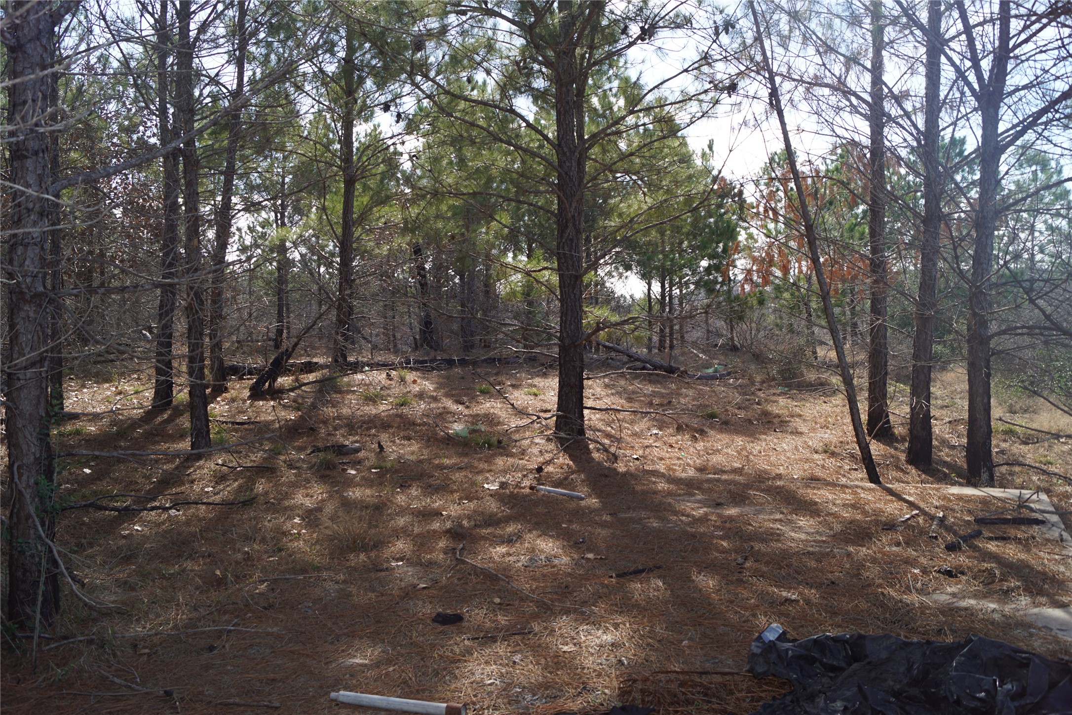 488 Kelley Road East Bastrop, TX 78602 - Photo 12 of 36