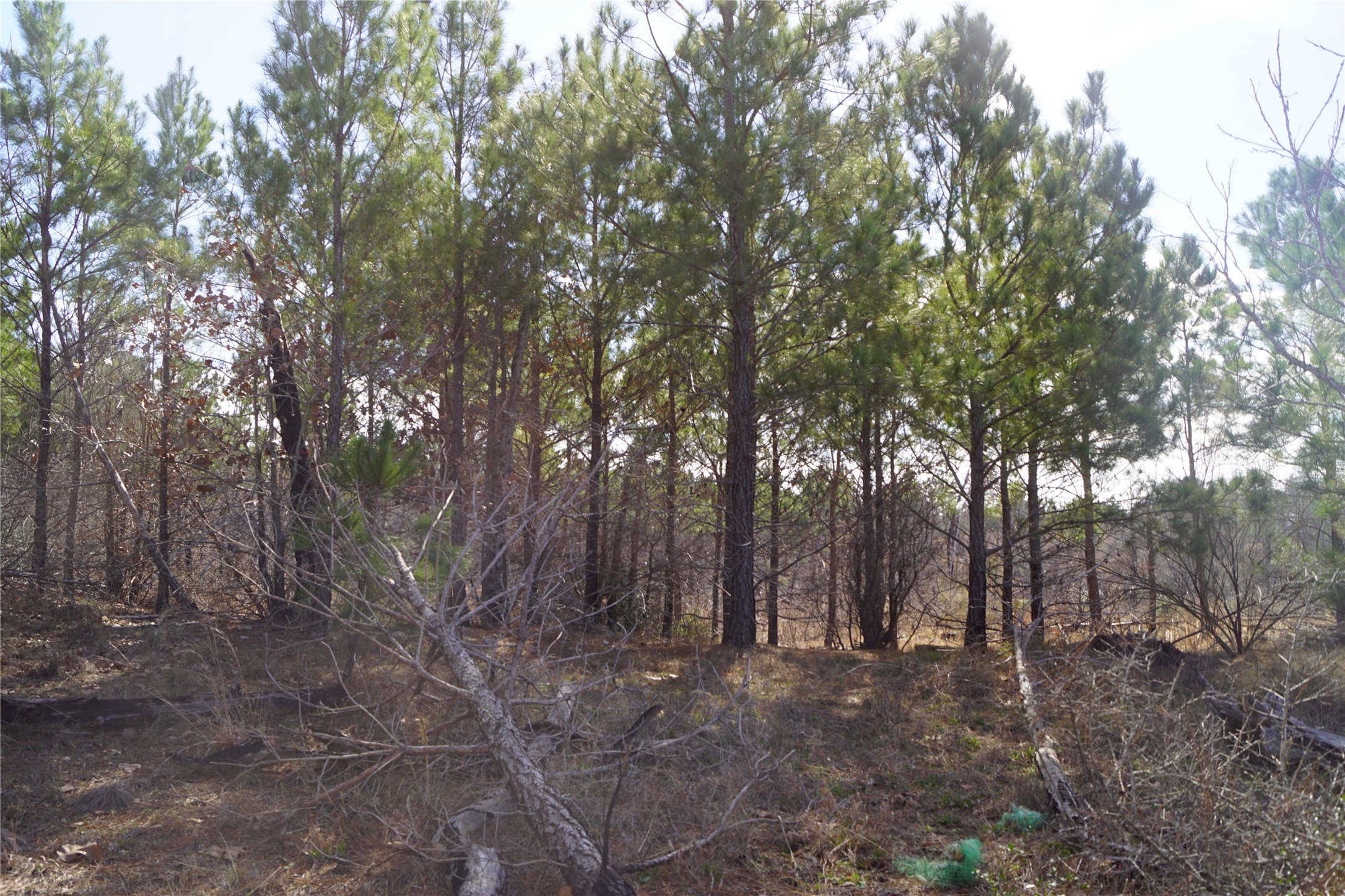 488 Kelley Road East Bastrop, TX 78602 - Photo 13 of 36