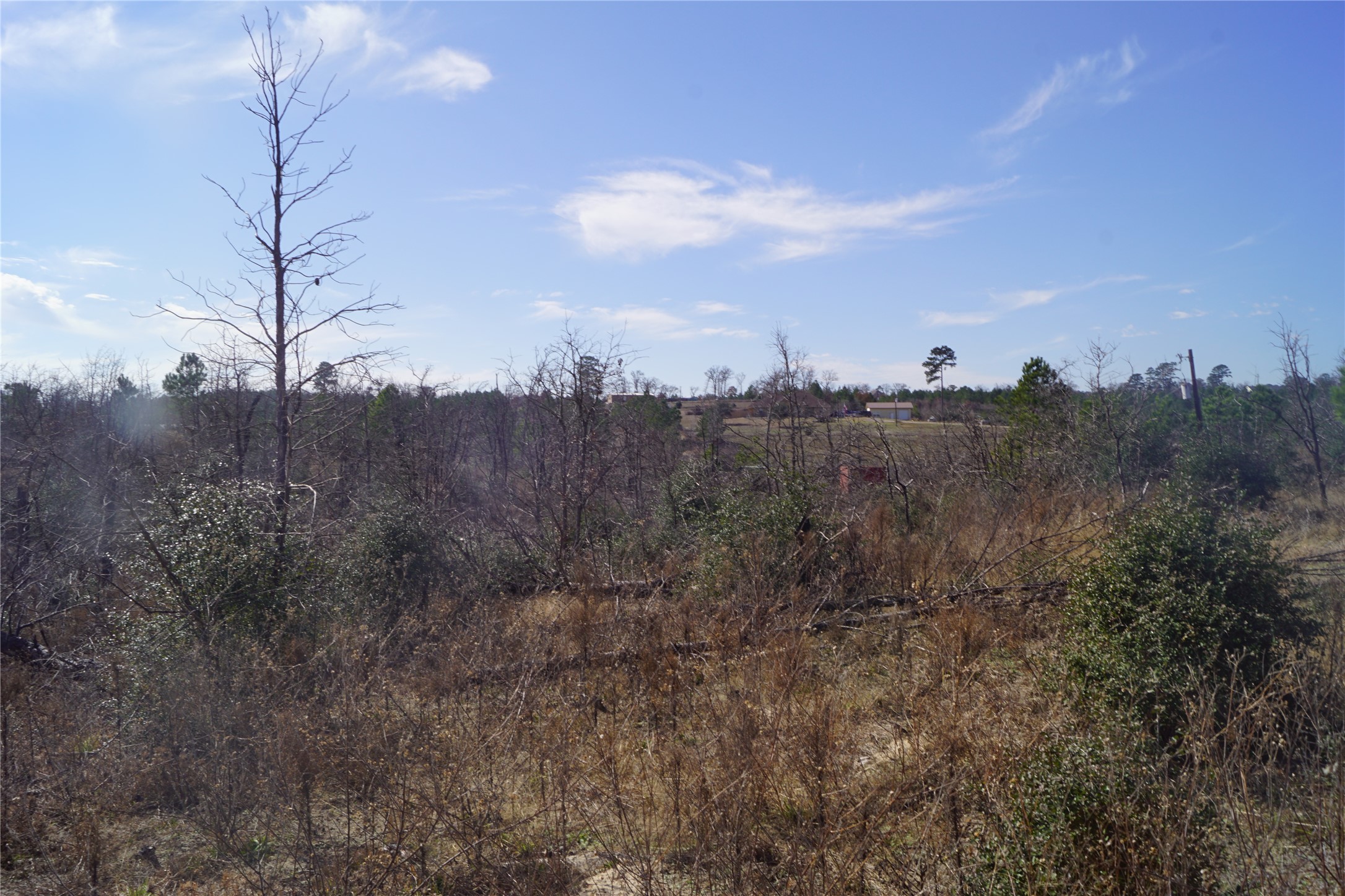 488 Kelley Road East Bastrop, TX 78602 - Photo 16 of 36