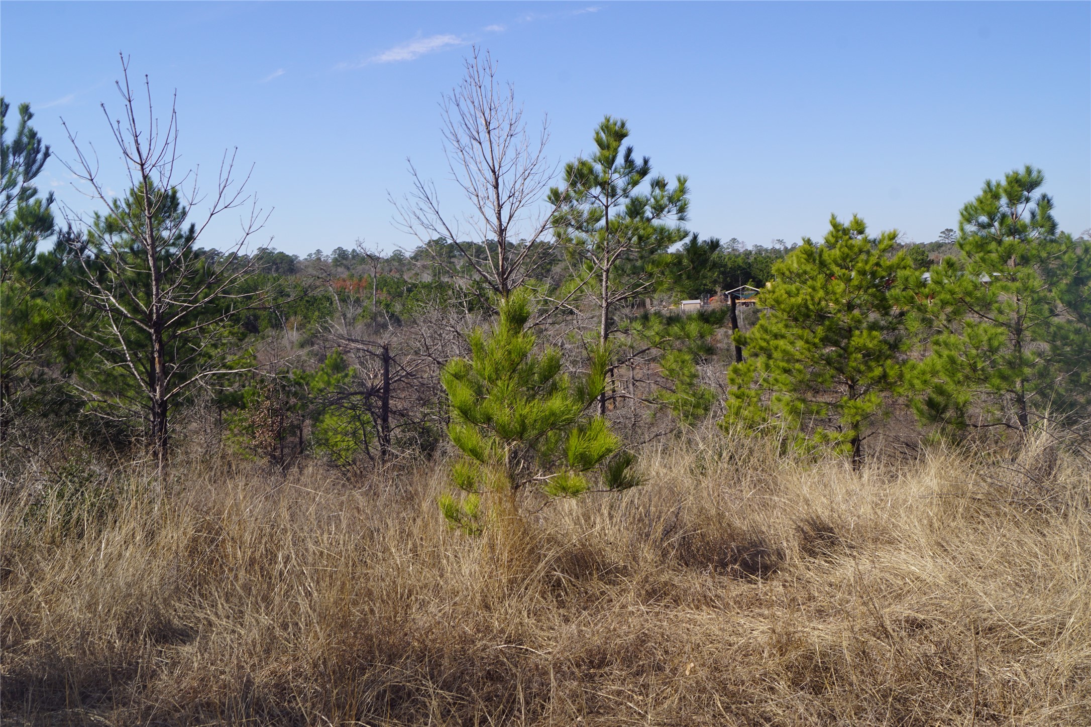 488 Kelley Road East Bastrop, TX 78602 - Photo 19 of 36
