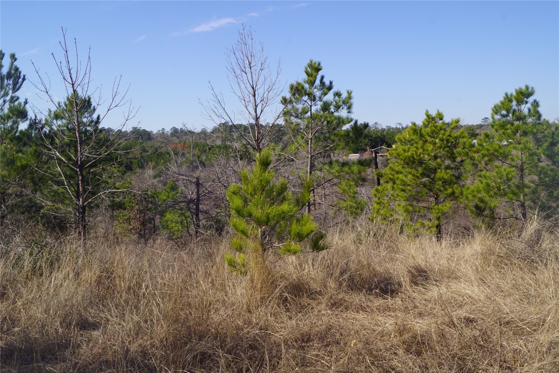 488 Kelley Road East Bastrop, TX 78602 - Photo 19 of 36 a view of a yard