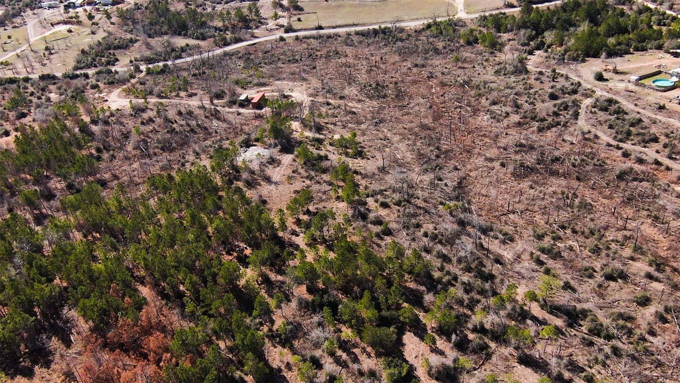 488 Kelley Road East Bastrop, TX 78602 - Photo 26 of 36 a view of a dry yard with lots of trees