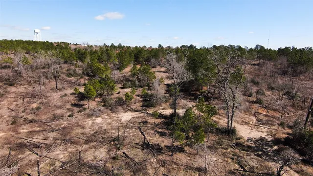 a view of a dry yard with lots of bushes