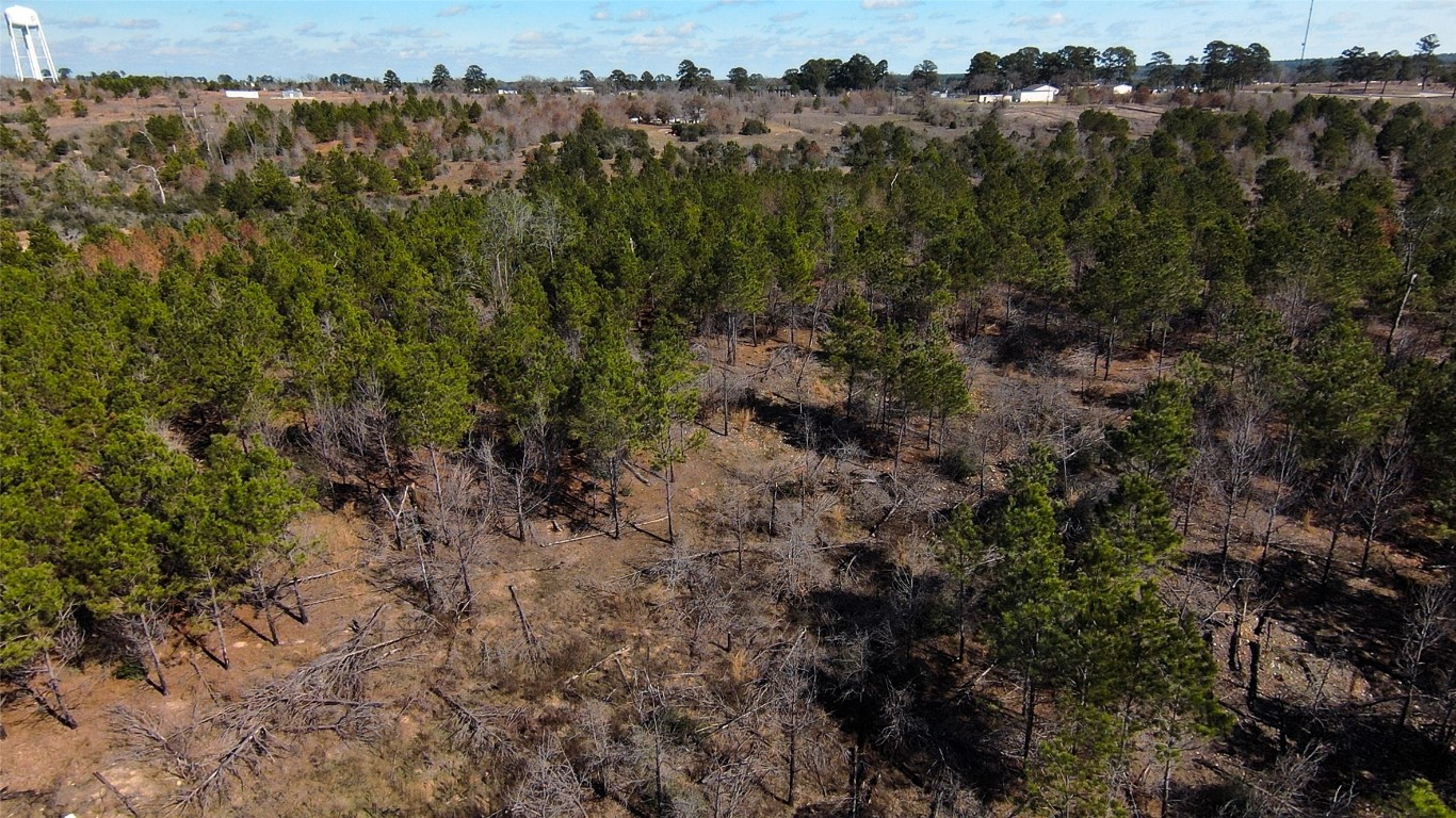 488 Kelley Road East Bastrop, TX 78602 - Photo 35 of 36 a view of a forest with a forest