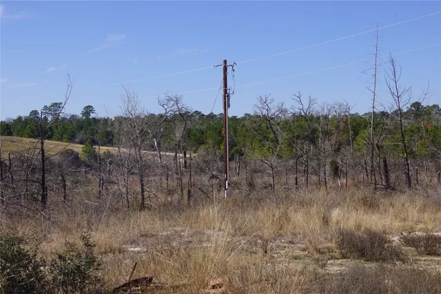 a view of a city with lush green forest