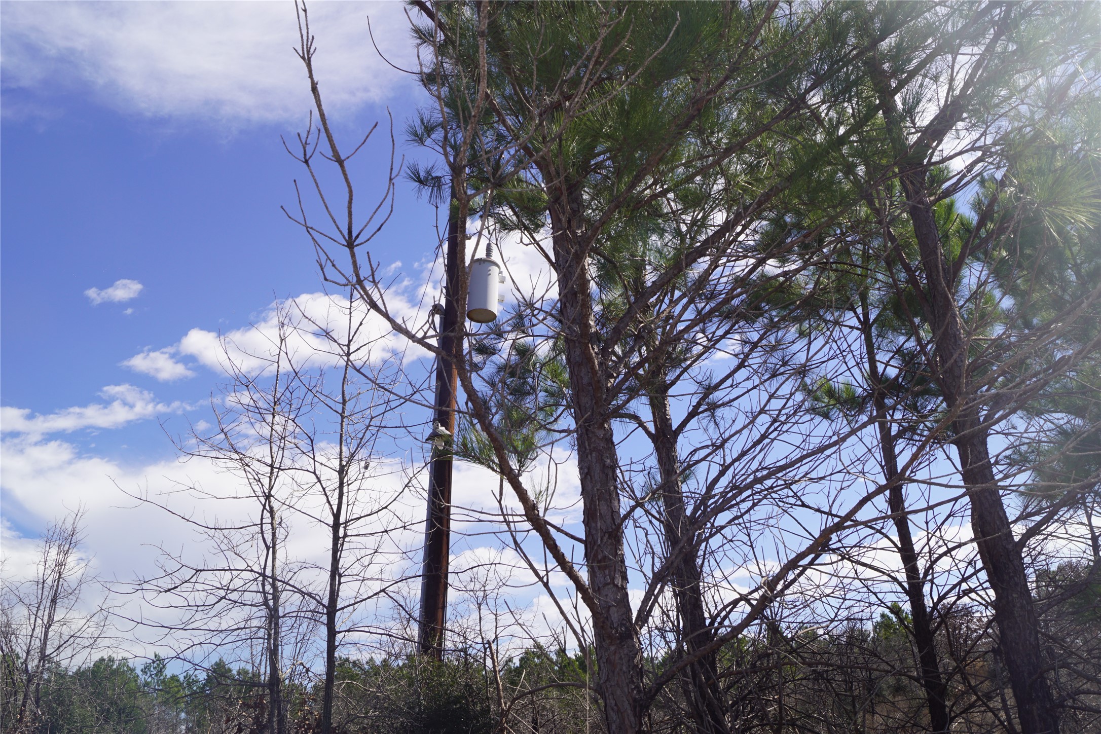 488 Kelley Road East Bastrop, TX 78602 - Photo 10 of 36