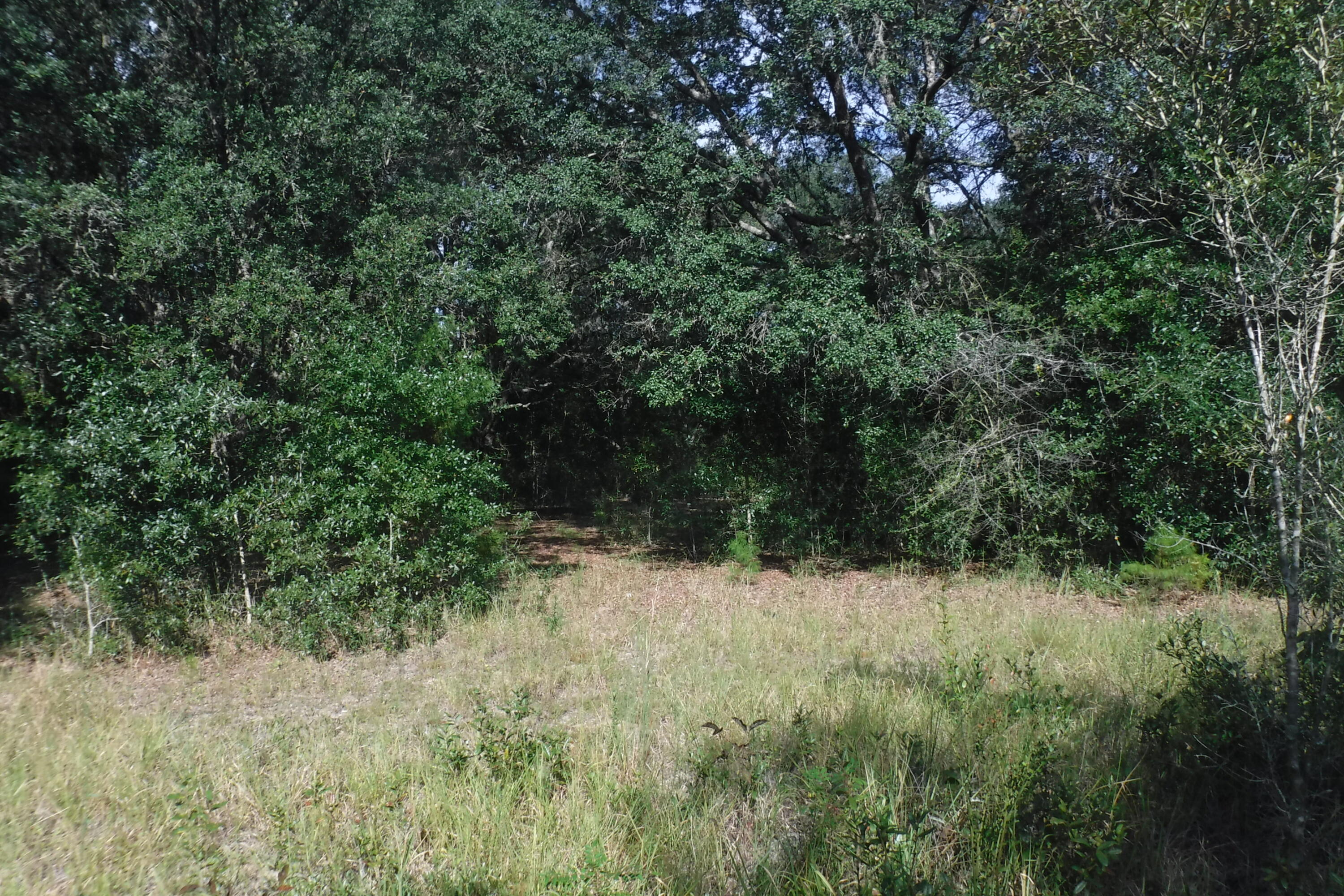 4.78 Antioch Road Crestview, FL 32536 - Photo 2 of 2 Gallery Image 2
