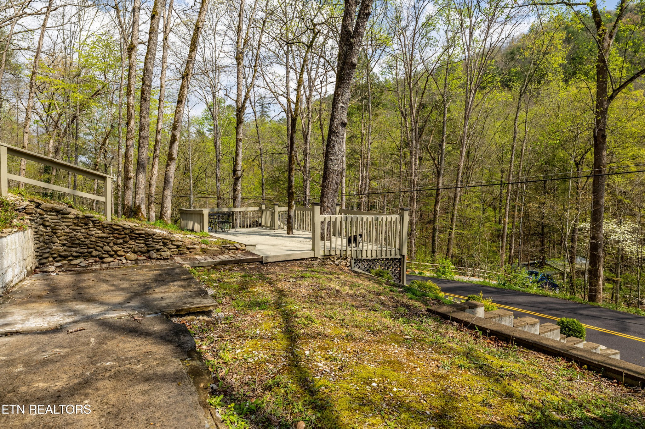 236240 Long Branch Road Townsend, TN 37882 - Photo 14 of 47 Gallery Image 14