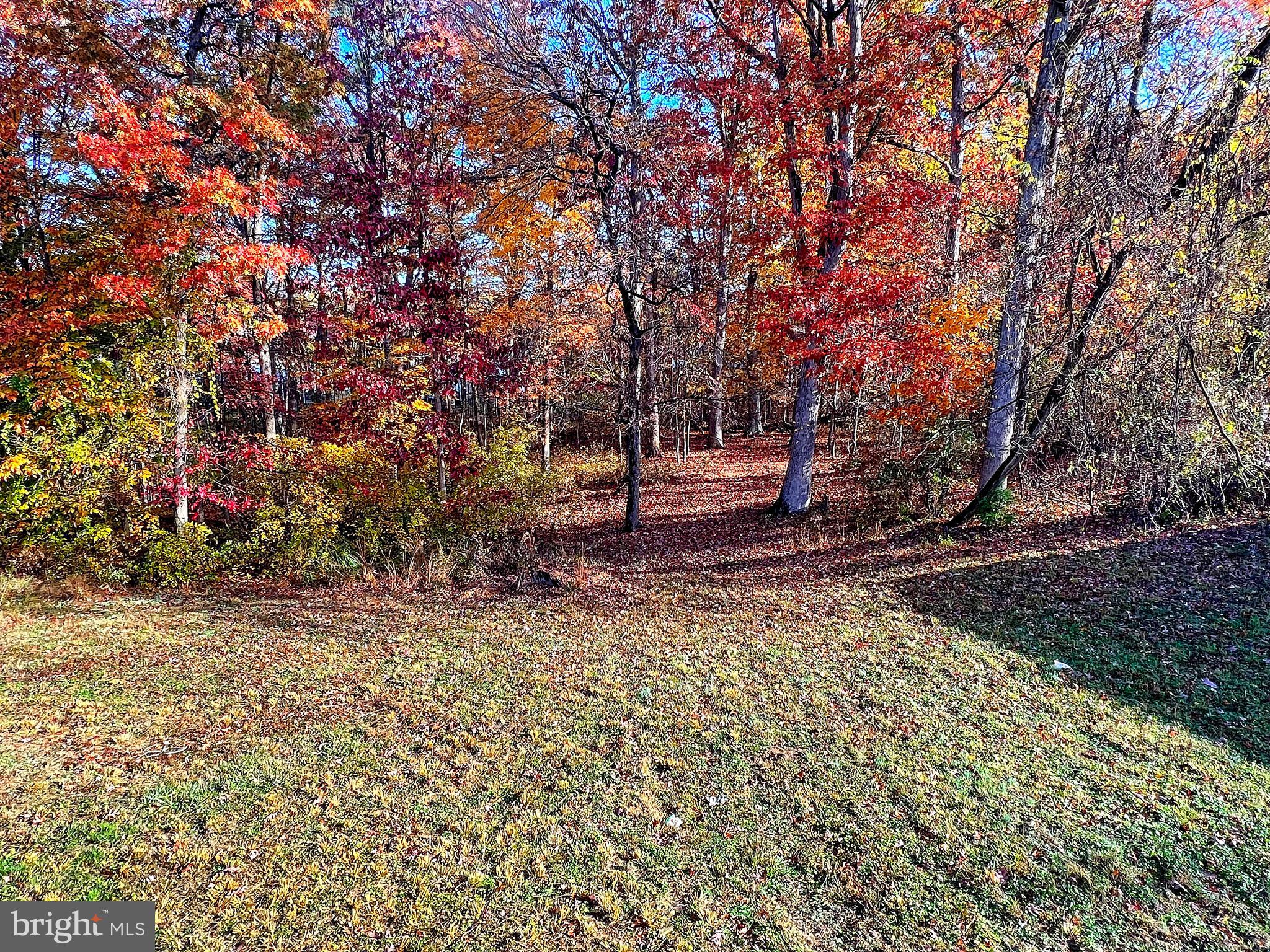 611 Riden Street Odenton, MD 21113 - Photo 32 of 33 Gallery Image 32