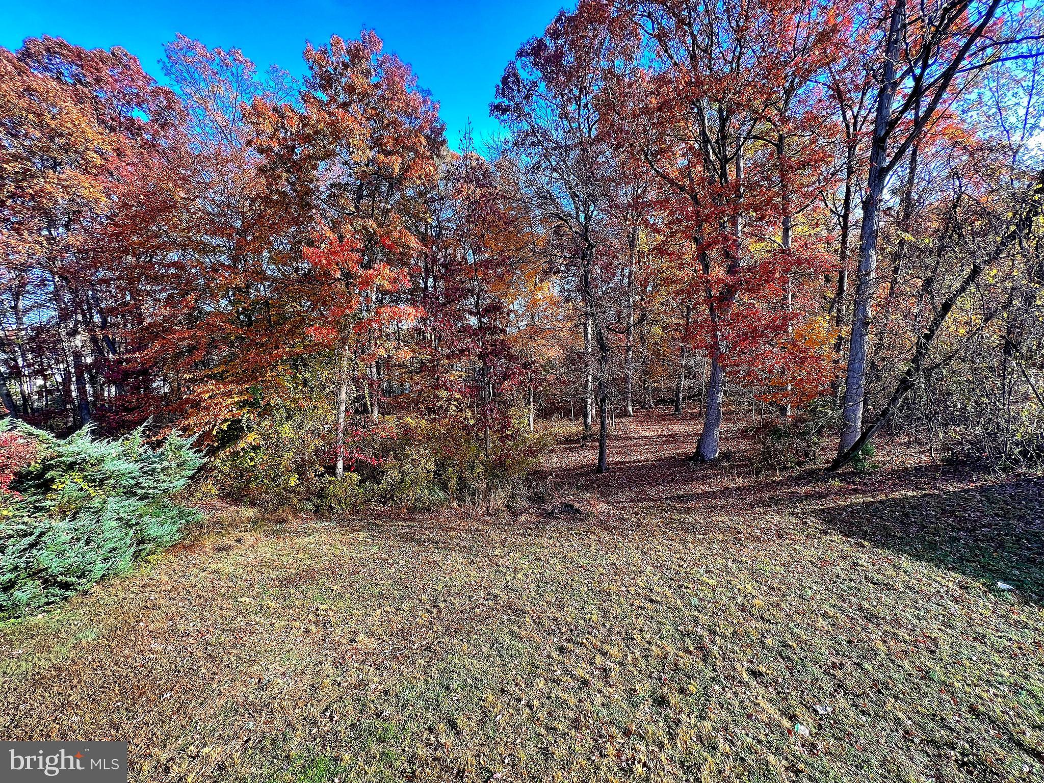 611 Riden Street Odenton, MD 21113 - Photo 33 of 33 Gallery Image 33