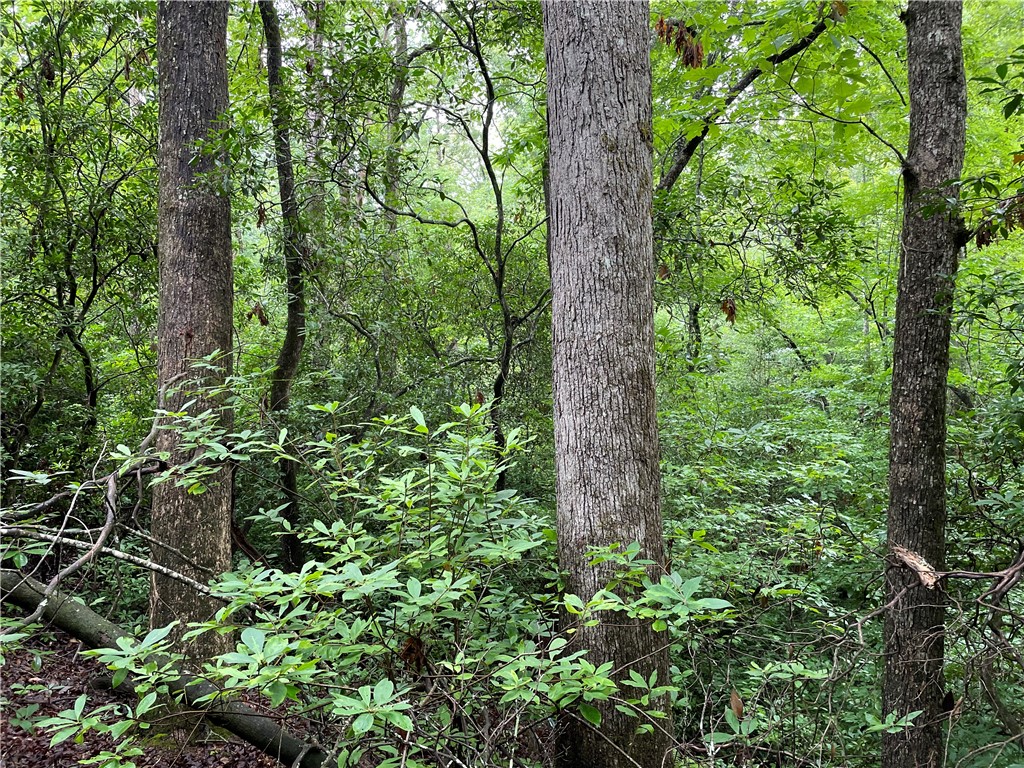 0 North Little River Road Salem, SC 29676 - Photo 11 of 20 Gallery Image 11
