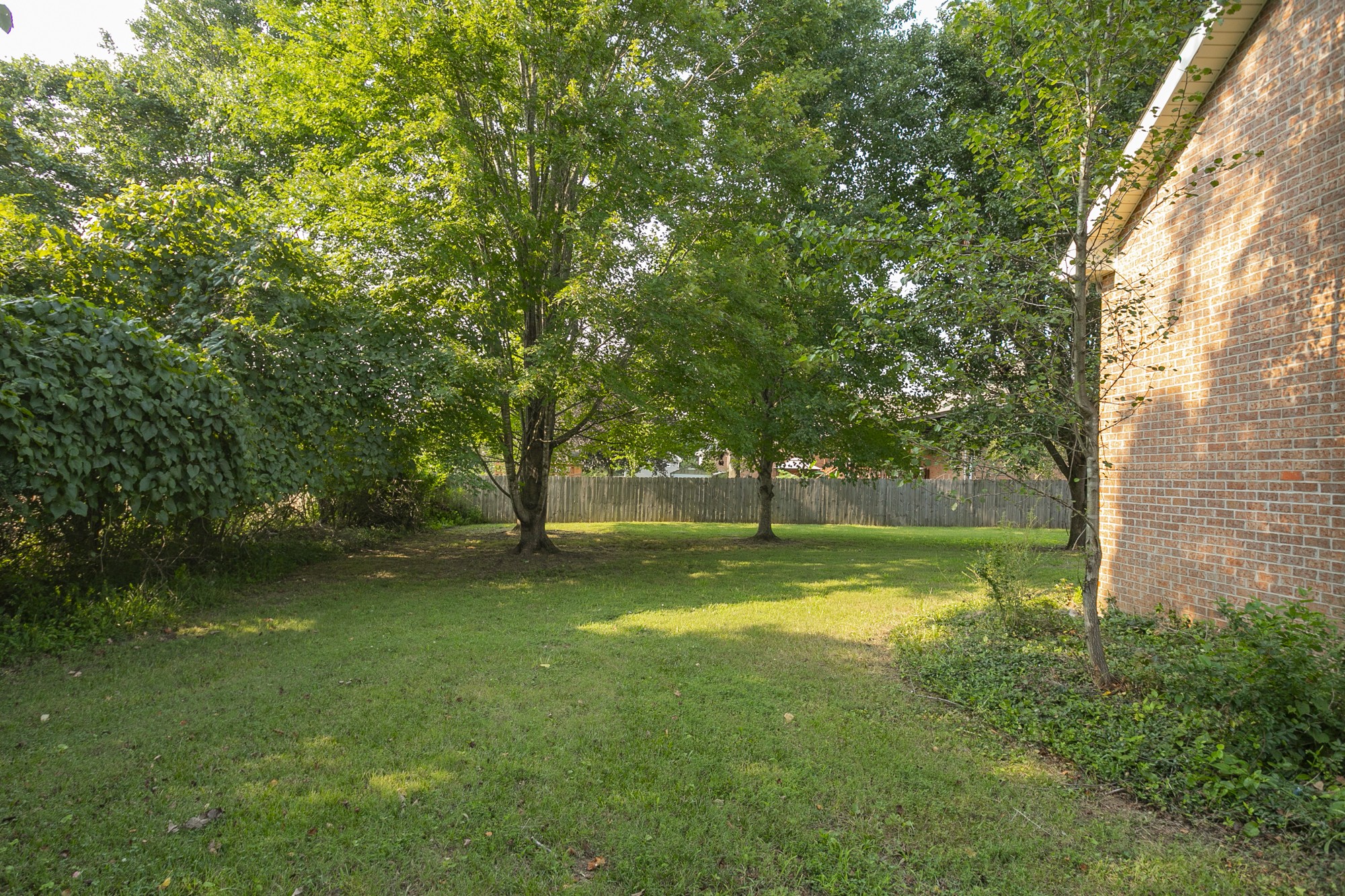103 MacIntosh Drive Springfield, TN 37172 - Photo 20 of 20 a view of a trees in a yard