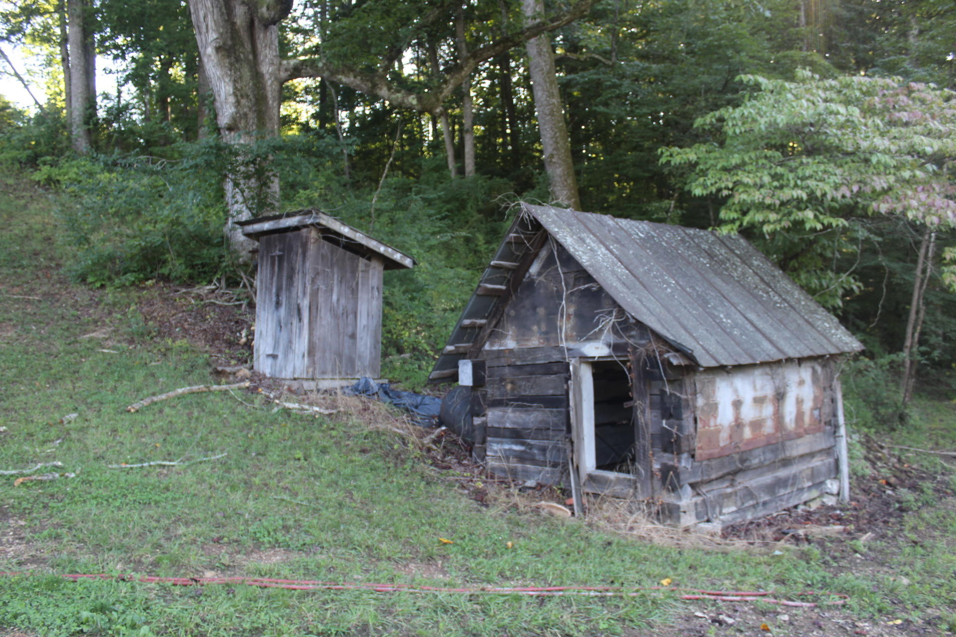 603 Sulphur Springs Road Clinton, TN 37716 - Photo 17 of 40 IMG_3514