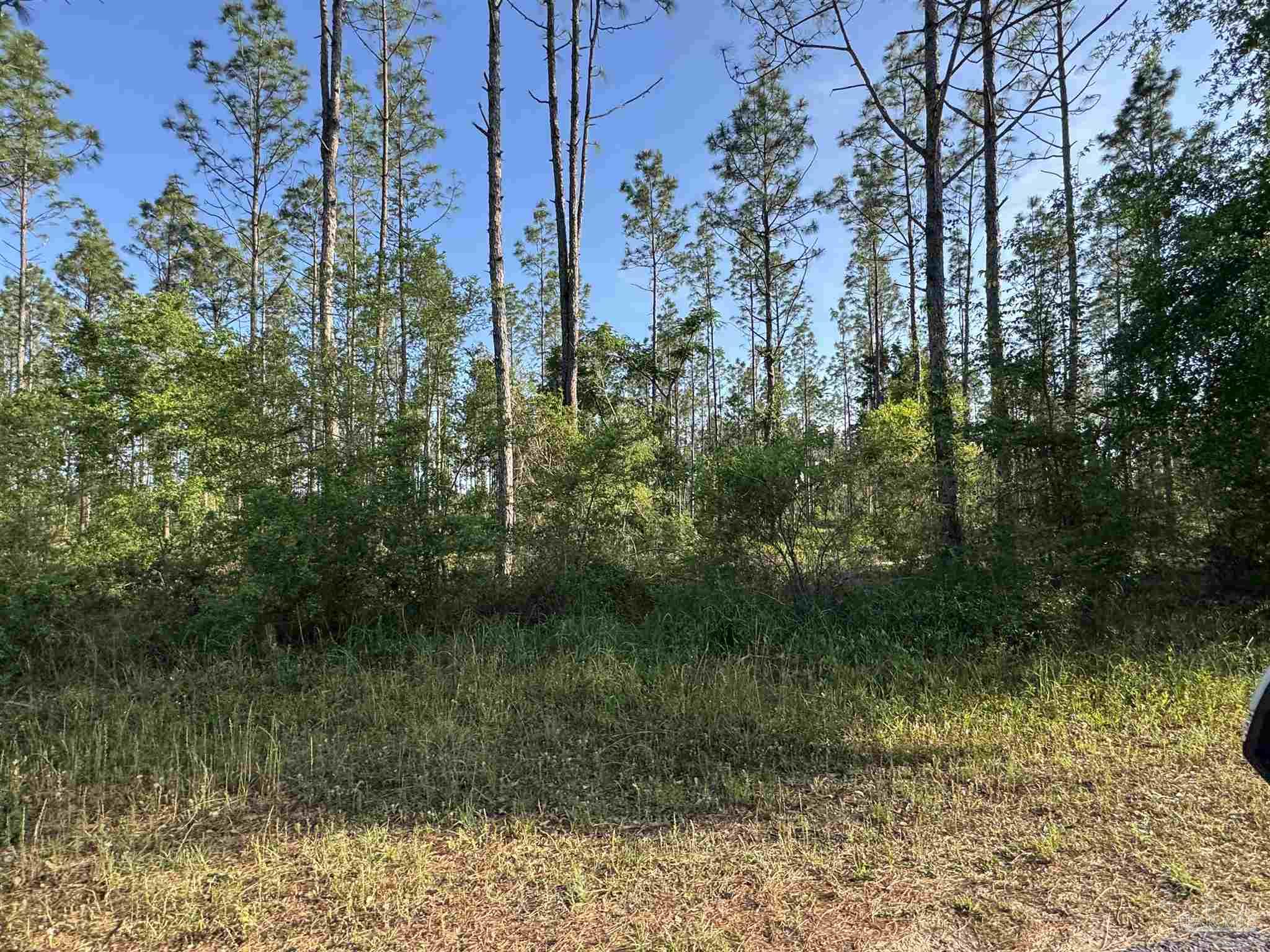 2 Martin Road Milton, FL 32570 - Photo 25 of 25