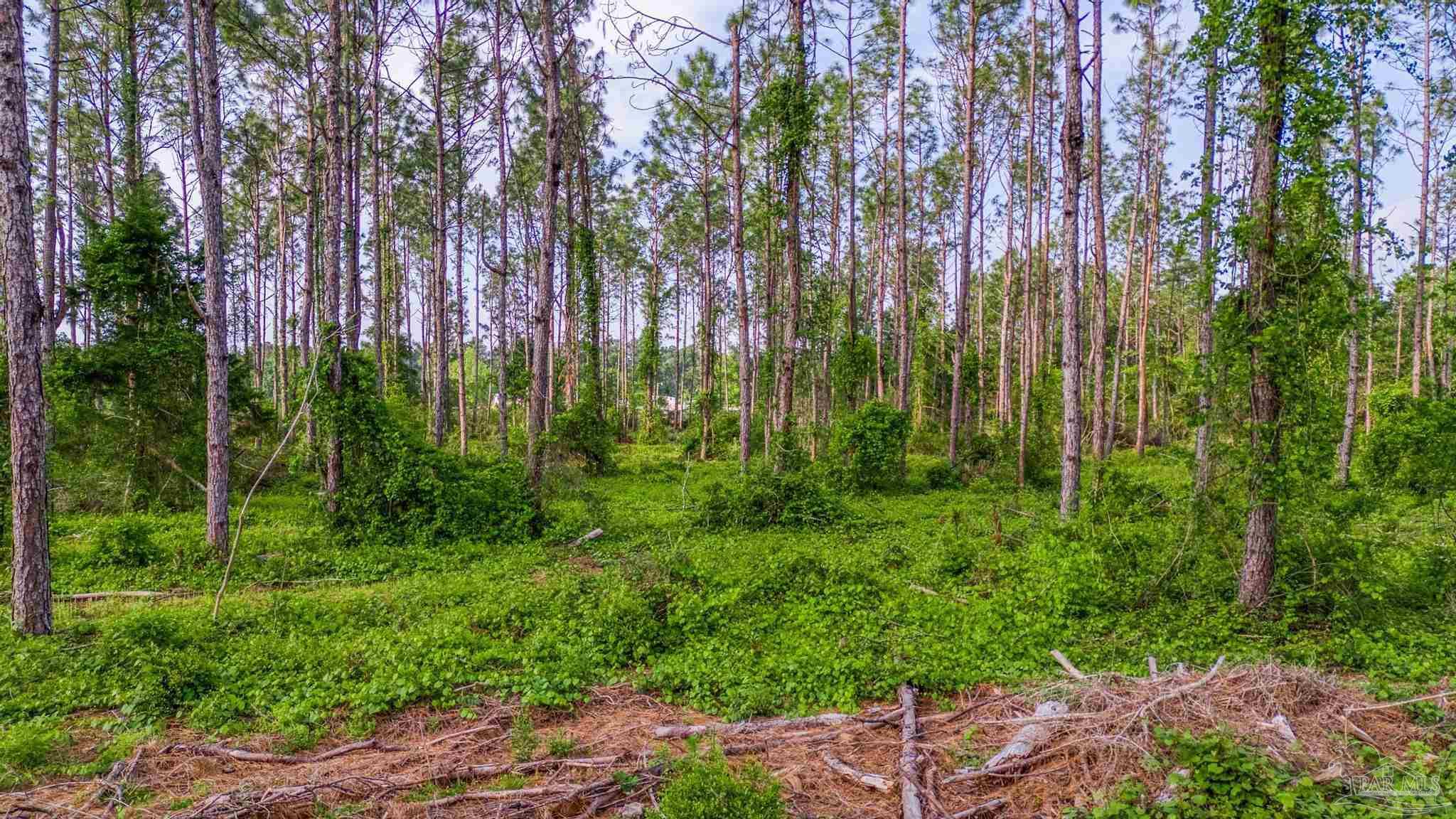 2 Martin Road Milton, FL 32570 - Photo 3 of 25