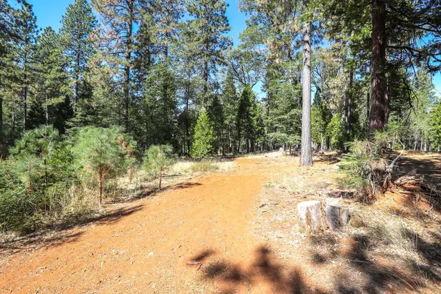 a view of outdoor space with trees all around