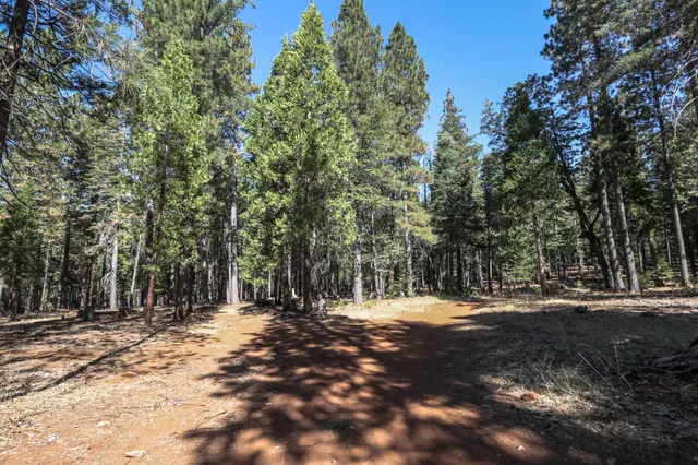 a view of outdoor space with trees