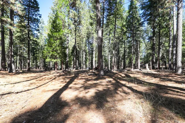 a view of outdoor space with trees