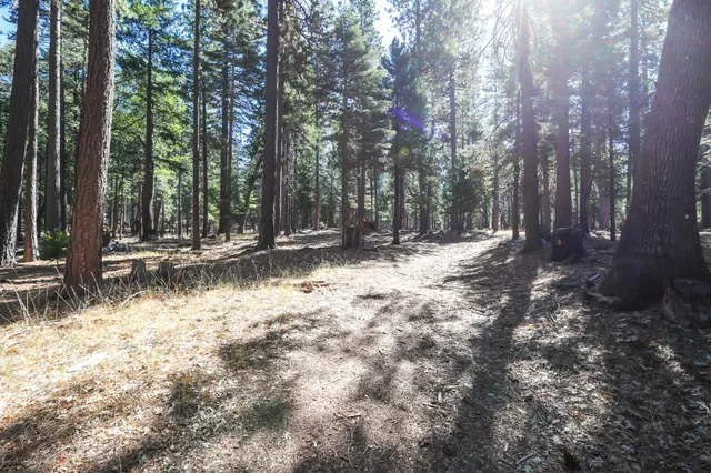 a view of road with trees