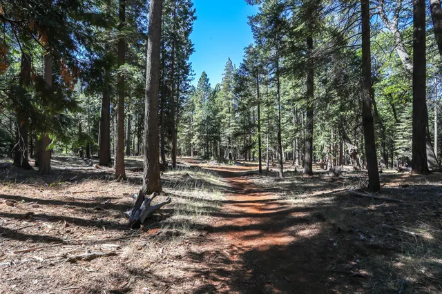 a view of outdoor space with trees