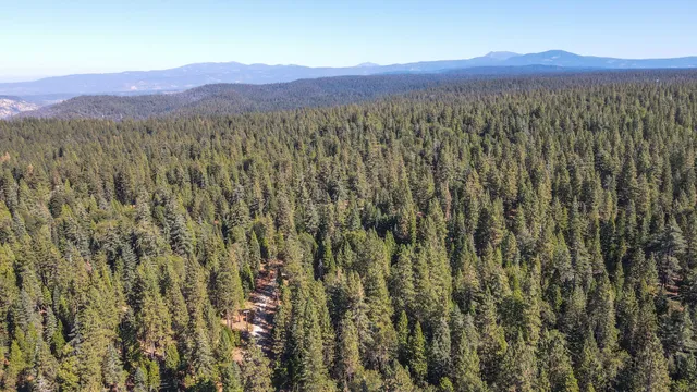 a view of a lush green hillside and a mountain