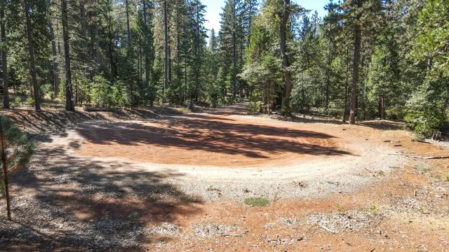 a view of dirt yard with a large tree