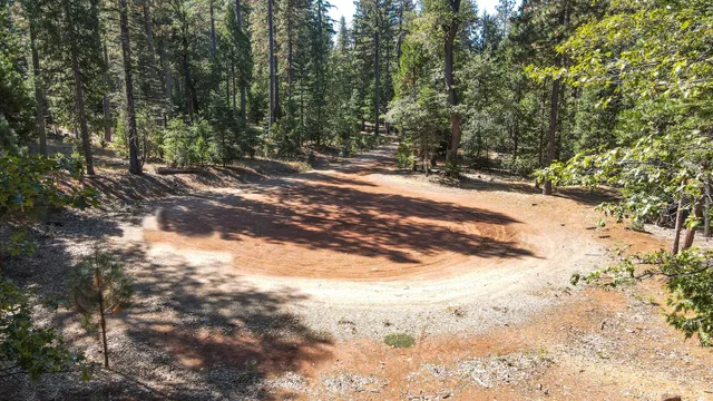 a view of road and trees