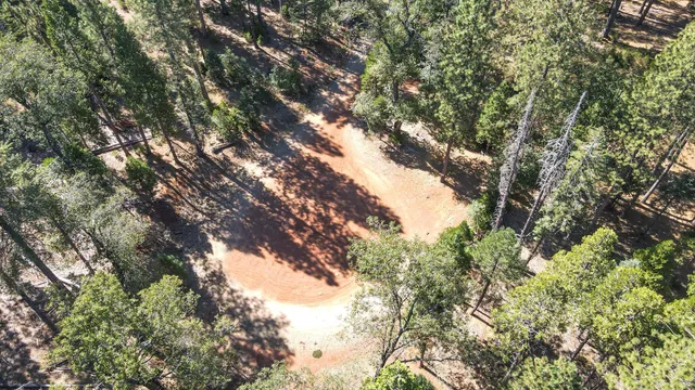 a view of a yard with large trees
