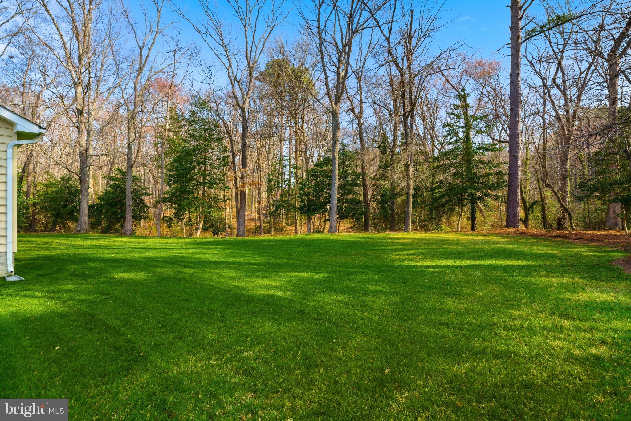 8275 Broomes Island Road Broomes Island, MD 20615 - Photo 42 of 44